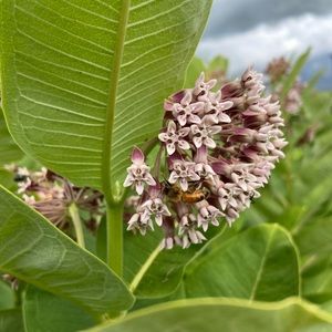 Meet your Posher, Karly